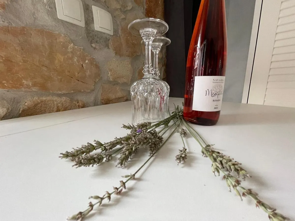 Villa Amore Radini Istrian Antique Studio With Private Parking And Terrace Brtonigla 0*,